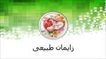 پاورپوینت-درباره-زایمان-طبیعی