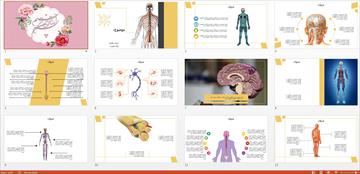 جدیدترین و زیباترین قالب پاورپوینت حرفه ای سیستم عصبی انسان