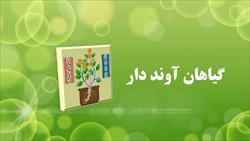 پاورپوینت گیاهان آونددار