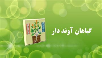 پاورپوینت گیاهان آونددار