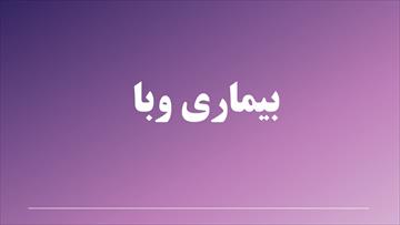 پاورپوینت در مورد بیماری وبا