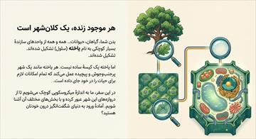 درسنامه فصل 11 علوم هفتم (یاخته و سازمان بندی آن)