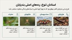 درسنامه فصل 13 جانوران بی مهره (علوم نهم)