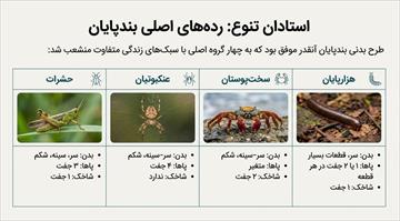 درسنامه فصل 13 جانوران بی مهره (علوم نهم)